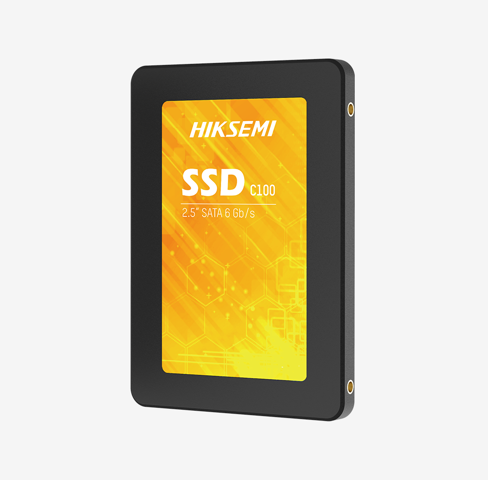 HS-SSD-C100