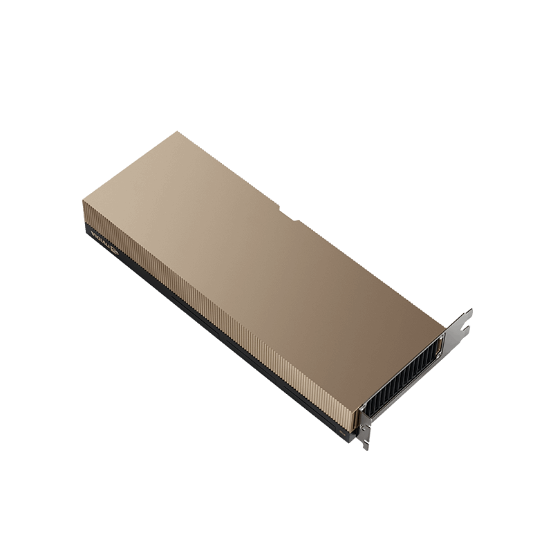 NVIDIA A100X